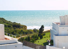 Casa Tulipan