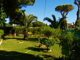 Casa Jardín